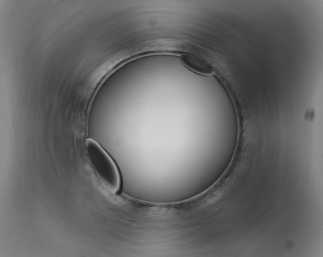 X0000114081081200910050954