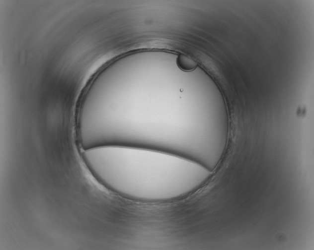 X0000114081087200910050954
