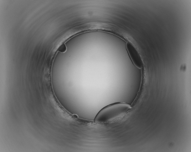 X0000114081089200910050954