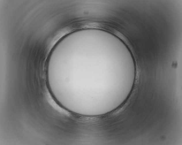 X0000114081090200910050954