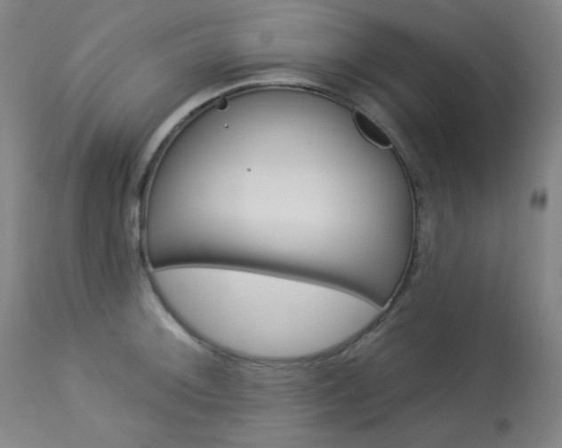 X0000114081092200910050954