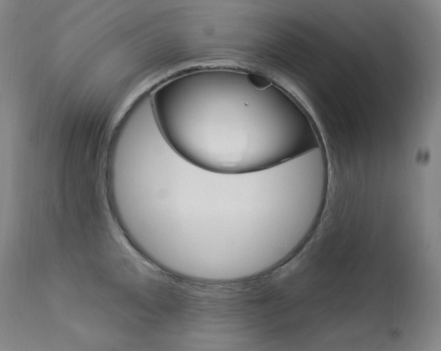 X0000114081093200910050954