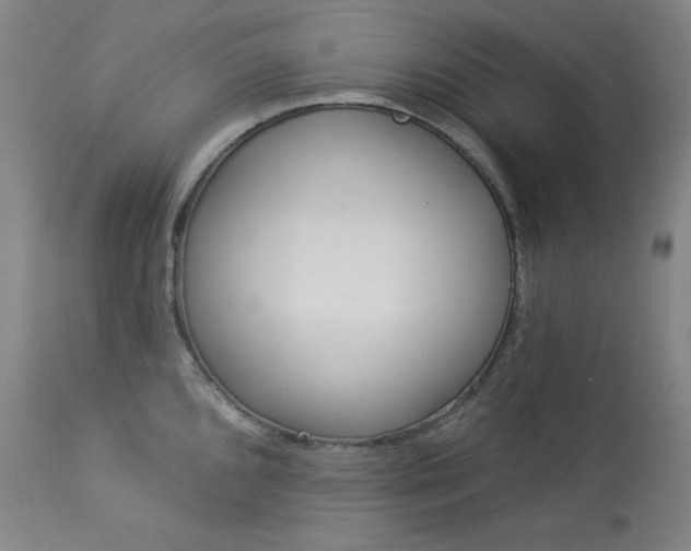X0000114081096200910050954