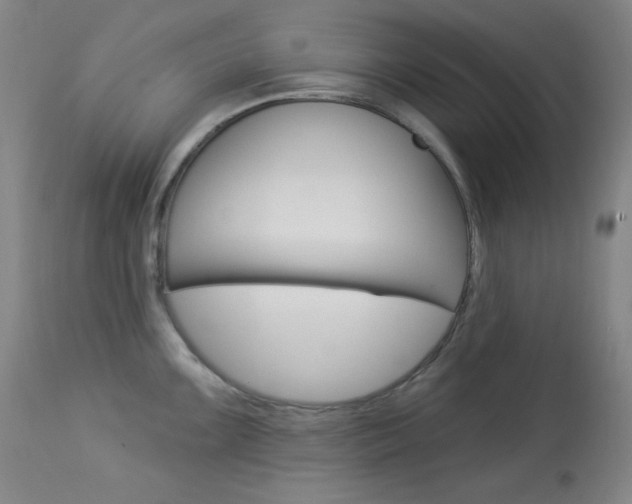 X0000114081099200910050954