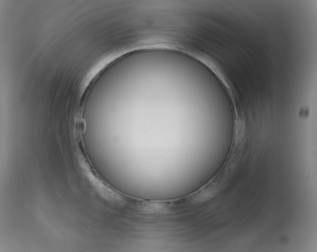 X0000114081101200910050954