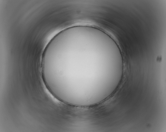 X0000114081103200910050954