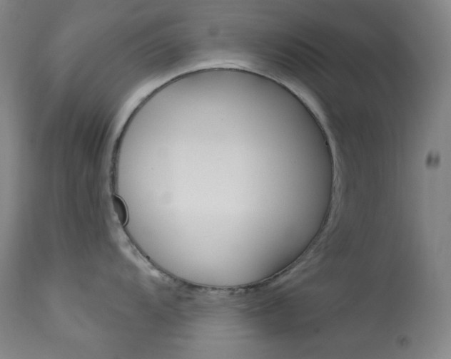 X0000114081104200910050954
