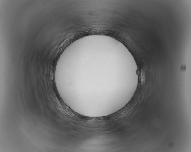 X0000114081107200910050953