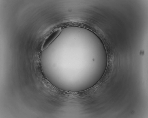 X0000114081110200910050953