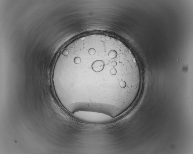 X0000114081113200910050953