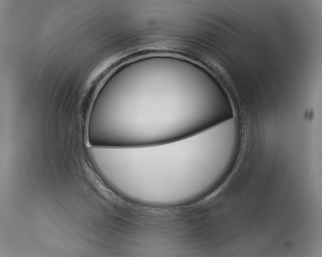 X0000114081114200910050953