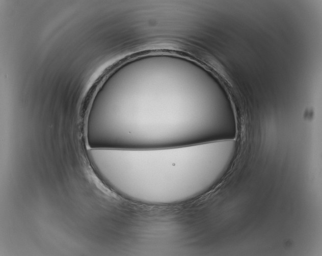 X0000114081116200910050953