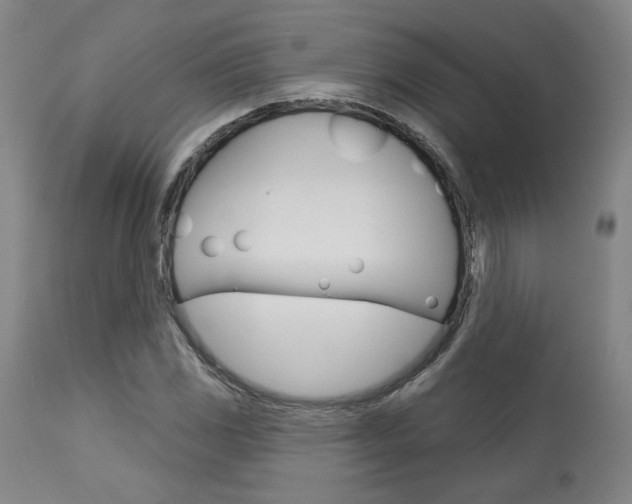 X0000114081117200910050953