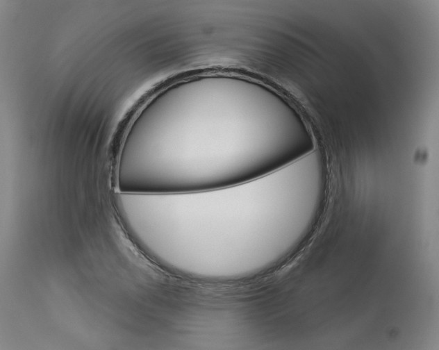 X0000114081118200910050953