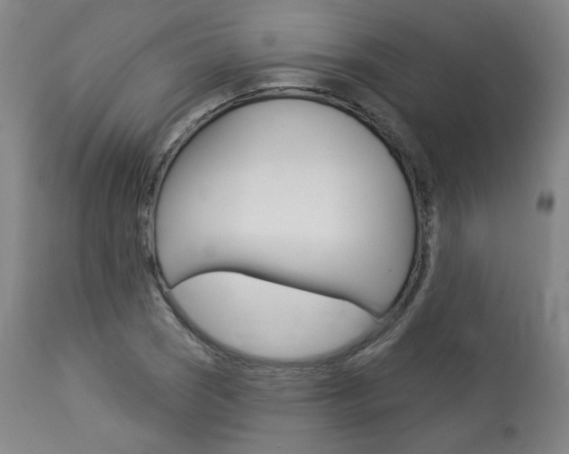 X0000114081121200910050953