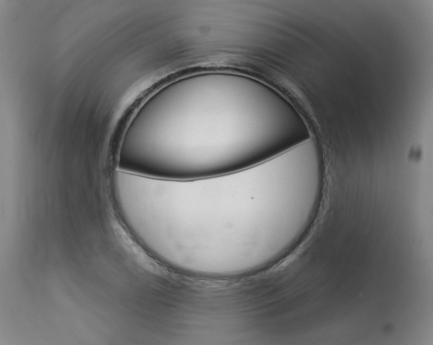 X0000114081122200910050953
