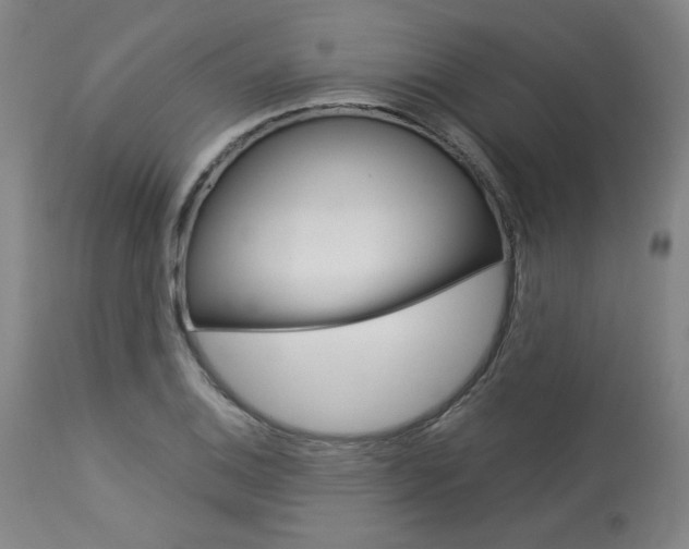 X0000114081124200910050953