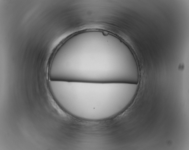X0000114081127200910050953