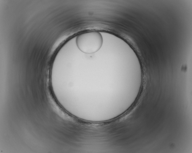 X0000114081130200910050953