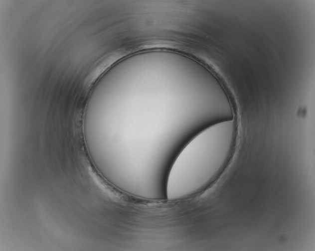 X0000114081137200910050953
