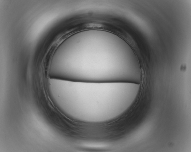 X0000114081151200910050954