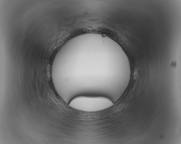 X0000114081156200910050953