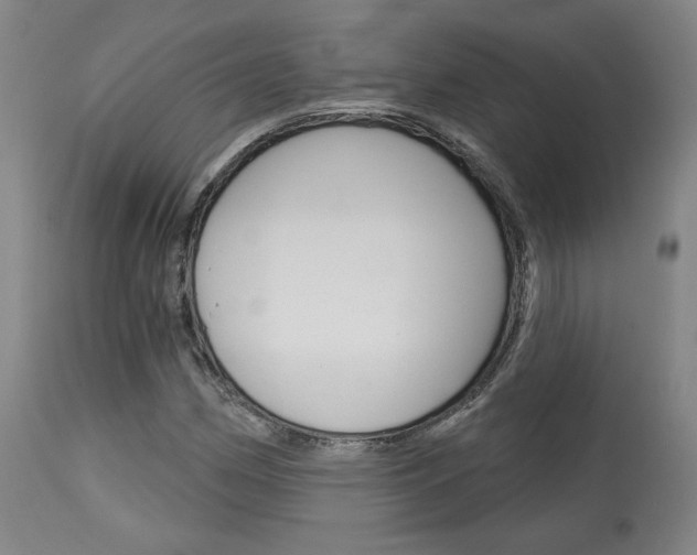 X0000114081162200910050953