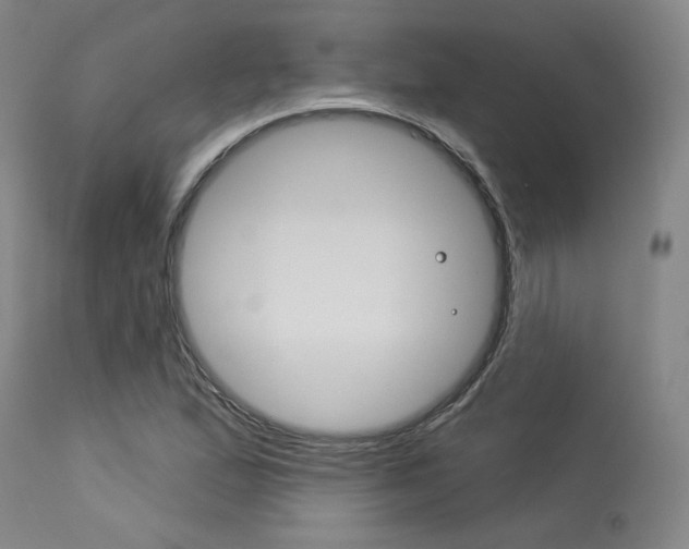 X0000114081167200910050953