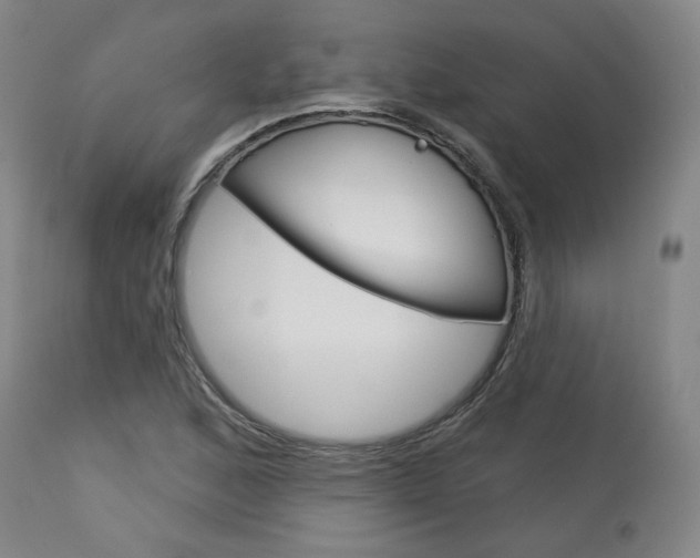 X0000114081168200910050953