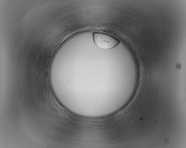 X0000114081169200910050953