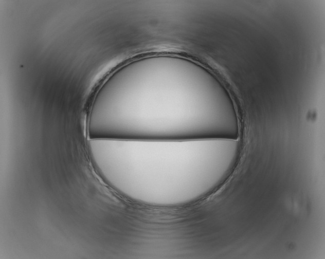 X0000114081171200910050953