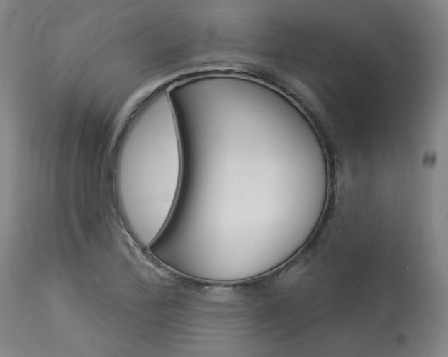 X0000114081172200910050953