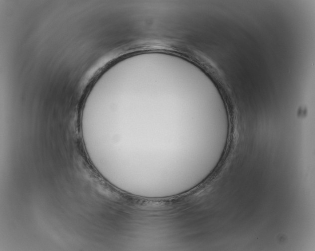 X0000114081174200910050953