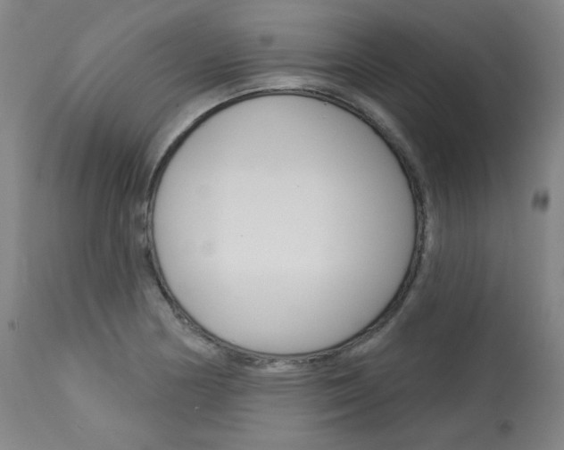X0000114081178200910050953