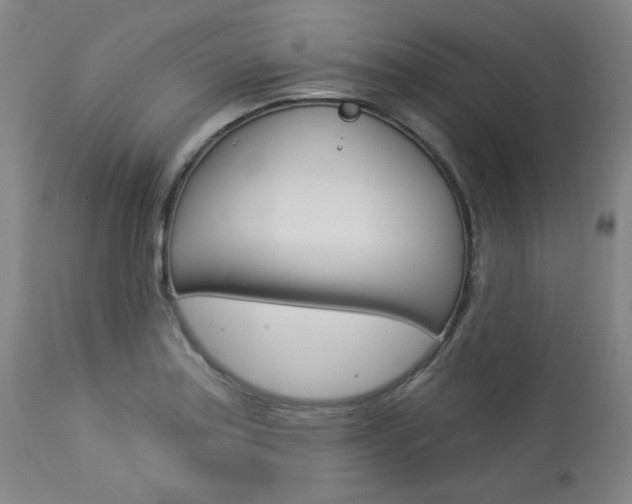 X0000114081179200910050953