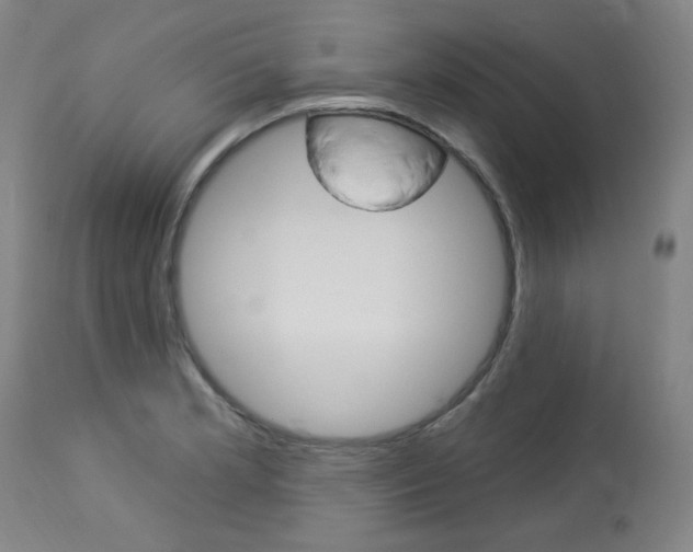 X0000114081181200910050952