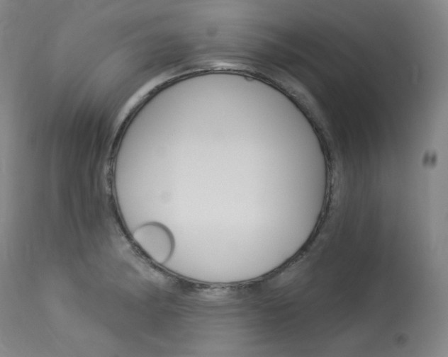 X0000114081182200910050952