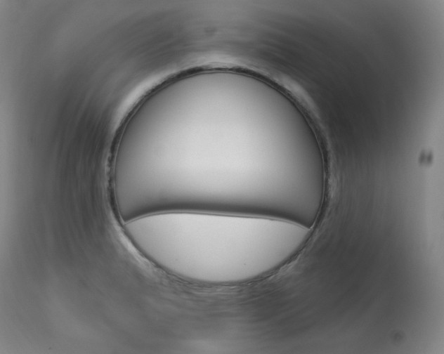 X0000114081183200910050952
