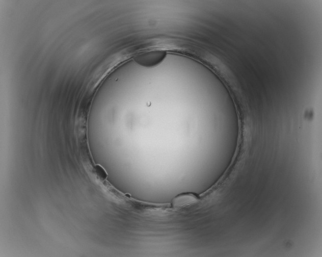 X0000114081185200910050952