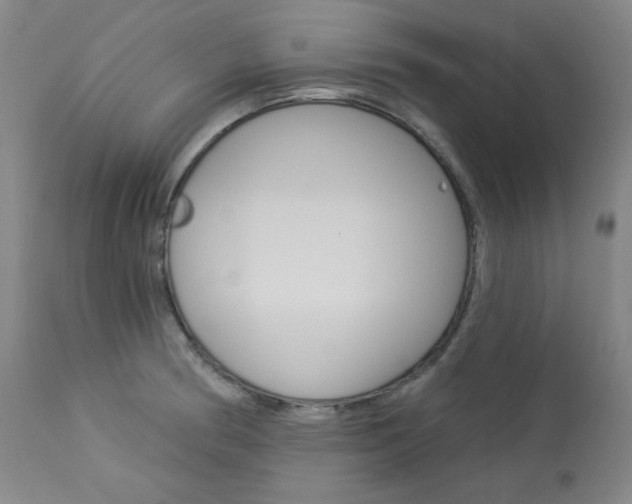X0000114081186200910050952