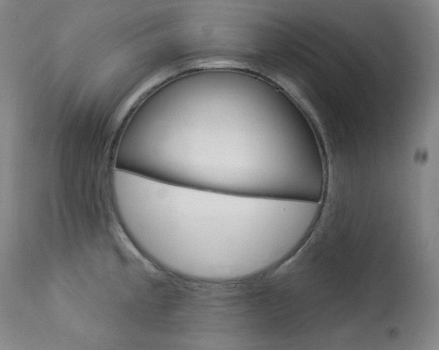 X0000114081189200910050952