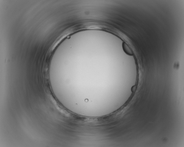 X0000114081194200910050952