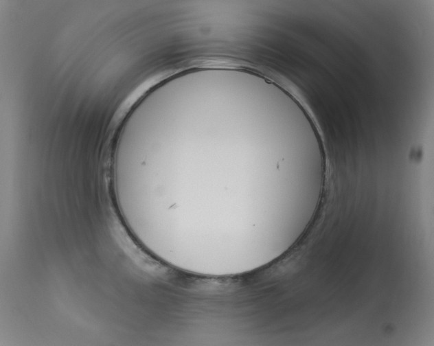 X0000114081195200910050952
