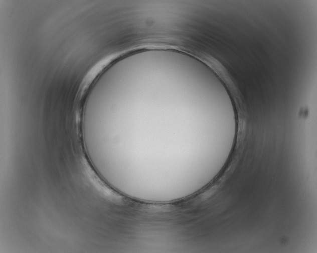 X0000114081196200910050952