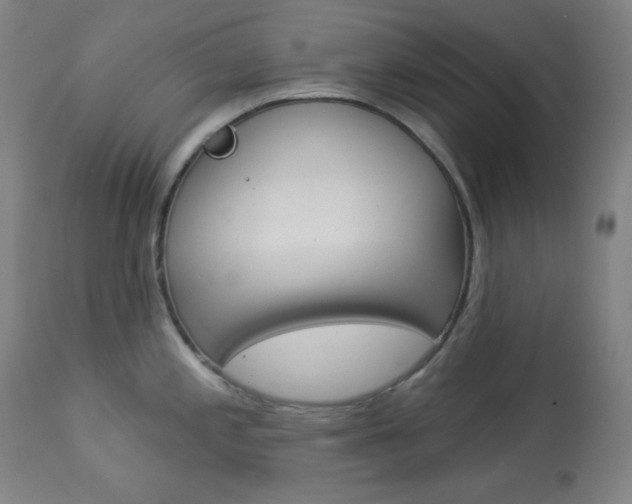 X0000114081197200910050952