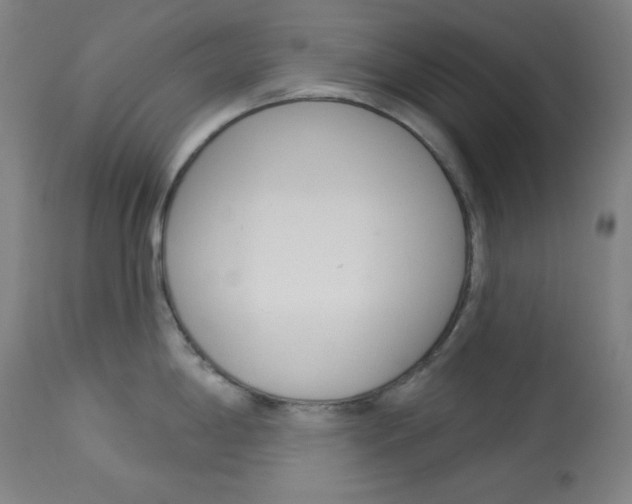 X0000114081198200910050952