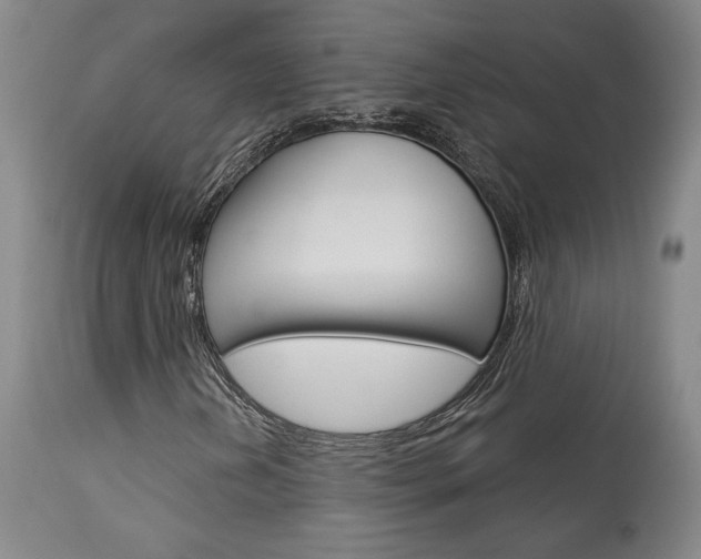 X0000114081202200910050951