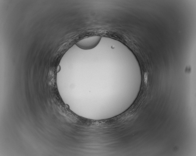 X0000114081203200910050951