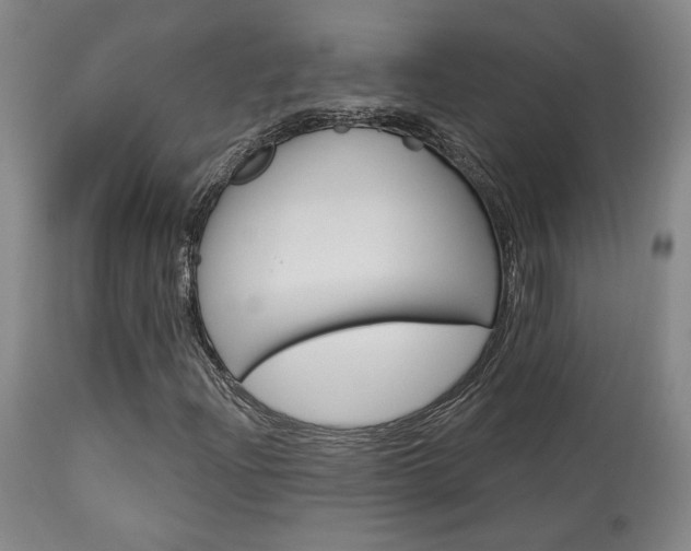 X0000114081204200910050951