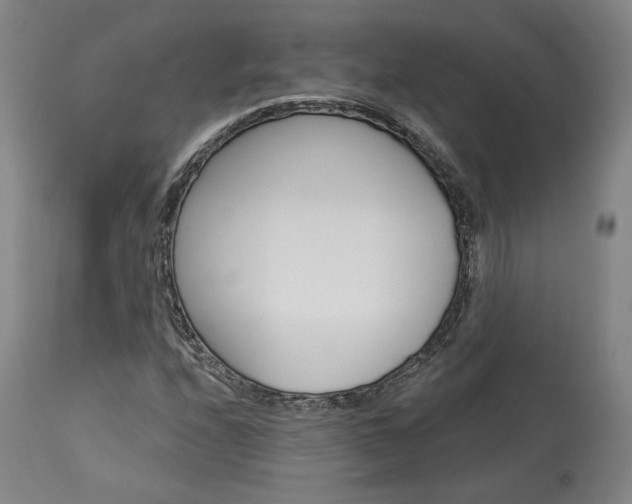 X0000114081208200910050951